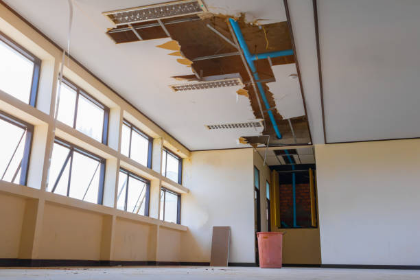 Best Flood damage cleanup  in Bonneau Beach, SC