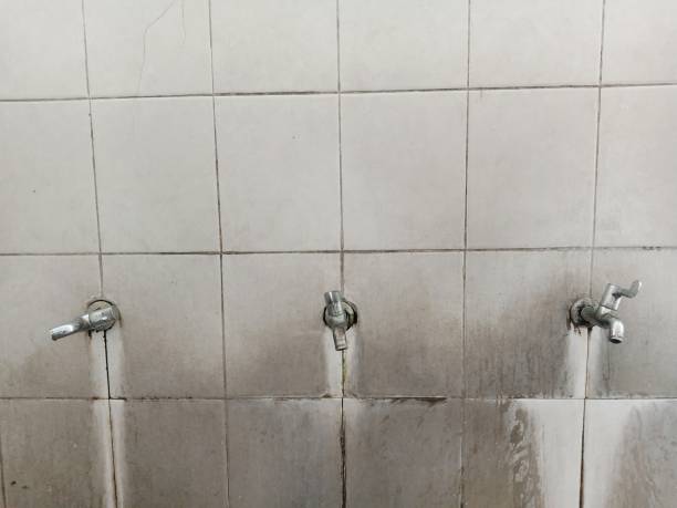 Best Fire Damage Restoration  in Bonneau Beach, SC