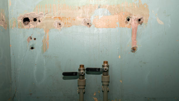 Best Water damage restoration experts  in Bonneau Beach, SC