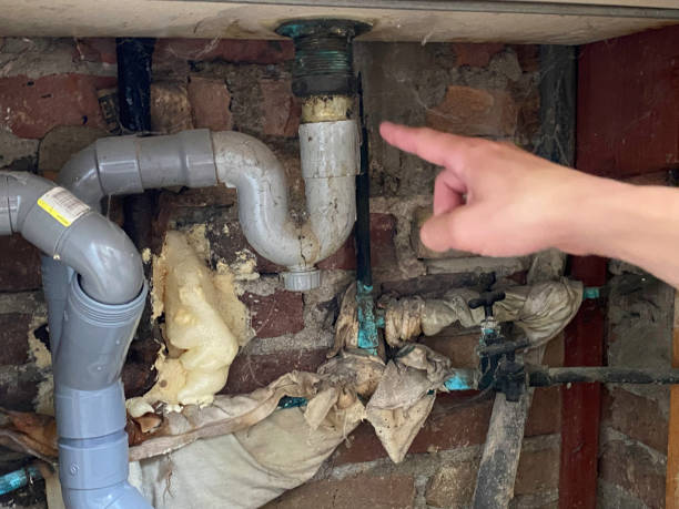Best 24-hour water damage restoration  in Bonneau Beach, SC