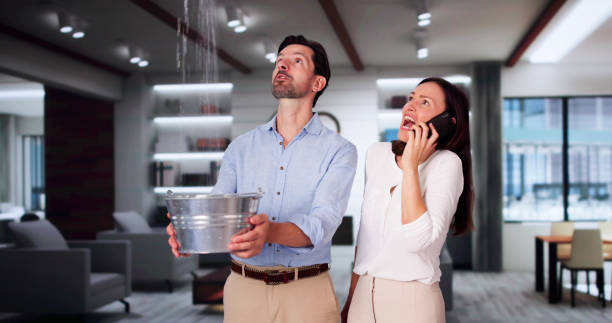 Best Carpet water damage restoration  in Bonneau Beach, SC